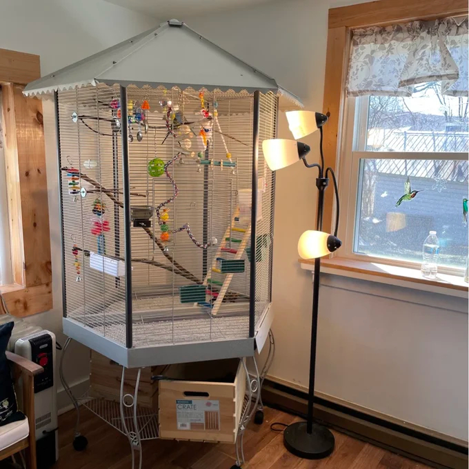 【Pet】Franconia 79'' Iron Pointed Top Flight Cage with Wheels