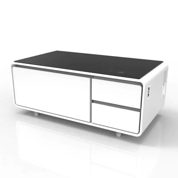 【Furniture】Smart Coffee Table with Storage