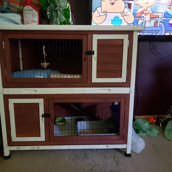 【Pet】Gatsby Weather Resistant Hutch with Ramp