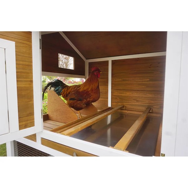 [Storage Shed]Shanae Walk In Chicken Coop with Chicken Run For Up To 8 Chickens